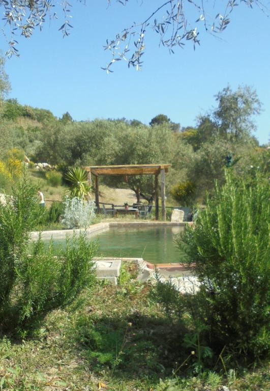 منزل الضيف Seggiano  في La Casina Di Giannetto المظهر الخارجي الصورة